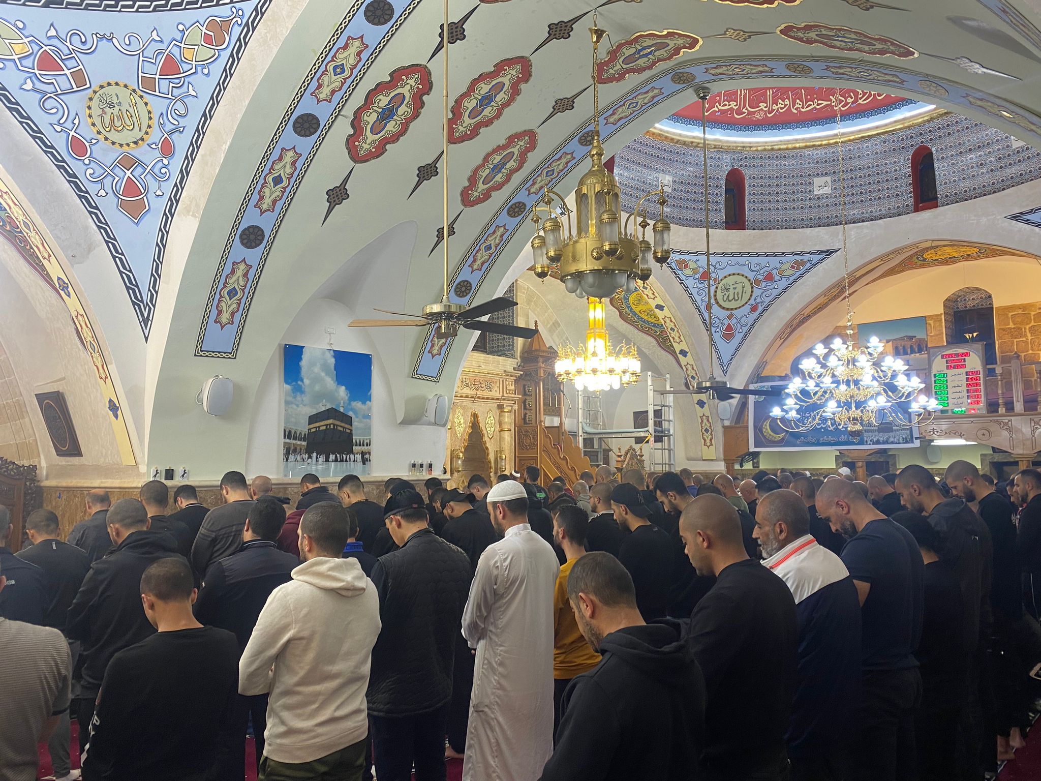 WhatsApp Image 2023-04-18 at 12.45.56 AM.jpeg